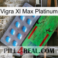 Vigra Xl Max Platinum new03